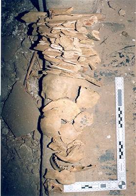 Podle znalc jsou nalezené kosterní pozstatky pes sto let staré.