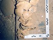 Podle znalc jsou nalezené kosterní pozstatky pes sto let staré.
