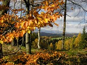 Lesy Markou�ovice - Pohled na Krkono�e