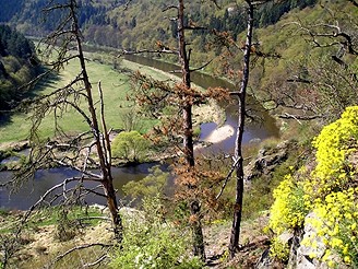 Zkrut Berounky pod Kraovem