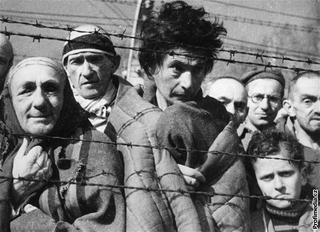 Vzni v koncentraním táboe Osvtim