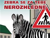 Pro vzorné dti jsou v akci Zebra pipraveny i dárky.