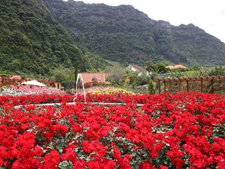 Madeira