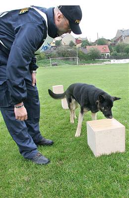 Krom policist pomáhají s pátráním i psi