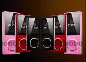 Zune Flash