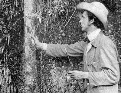 Na první cestu do Jiní Ameriky vyrazil cestovatel Alberto Vojtch Fri (18821944) u v osmnácti letech. Na snímku z poátku 20. století objevuje novou orchidej.
