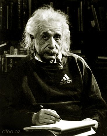 Einstein Adidas