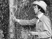Na první cestu do Jiní Ameriky vyrazil cestovatel Alberto Vojtch Fri (18821944) u v osmnácti letech. Na snímku z poátku 20. století objevuje novou orchidej.