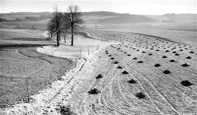 Milo Spurný - Bysticko na Vysoin (1956)