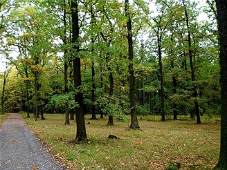 Klánovický les, říjen 2007