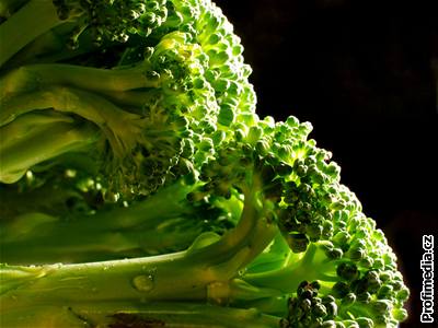 Brokolice a dalí koálová zelenina dokáe sníit zánty vyvolané psobením UV záení.