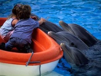 Tenerife - Loro Parque - akvrium