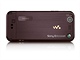 Sony Ericsson W890i