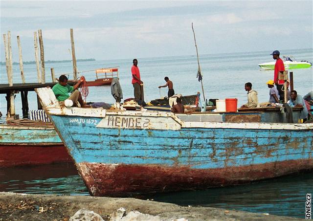 Z veerní nabídky grilovaných ryb na plái v Zanzibar City pecházejí oi.