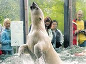MEX: Zoo zlomila svj rekord