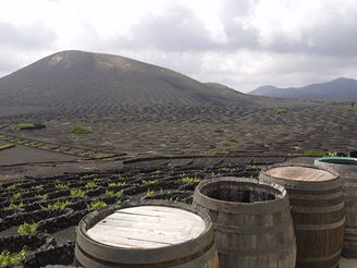 Lanzarote - La Gea