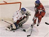 �esko 20 - Dánsko 20