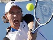 Tomá� Berdych