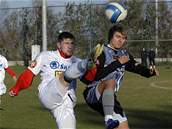 Plze - Ruch Chorzów: Halama (vlevo) bojuje o mí