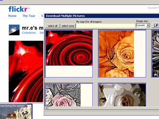 Flickr Downloader 