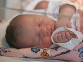 První ze dvou holiek roku 2008 - Albta Kriovenská ze Stedoeského kraje