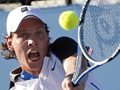 Tomá� Berdych