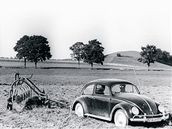 VW Brouk