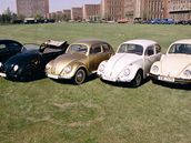 VW Brouk