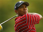 Tiger Woods si za jeden rok vydlal 100 milion dolar