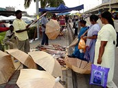 Thaipusam, Malajsie, Batu Caves