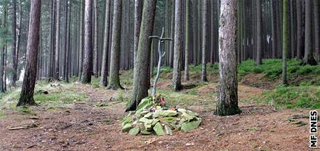Symbolick hrob Aneky Hrzov u Poln