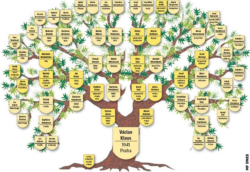 Jak sestavit rodinný strom?