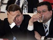 Mirek Topolánek, Martin Bursík a Alexandr Vondra bhem schze obou komor parlamentu ve panlském sále (8. 2. 2008)