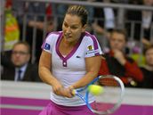 Dominika Cibulková
