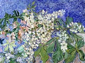 Vincent van Gogh - Kvetoucí vtve katanu