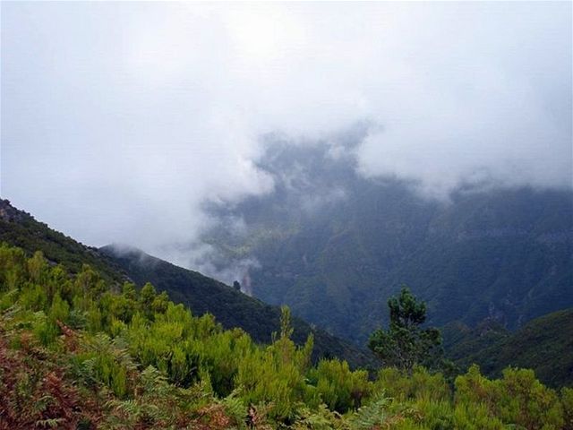 Madeira nabízí skvlou dovolenou pro milovníky pích túr a divoké pírody.