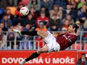 Sparta - Teplice: Petr Voíek