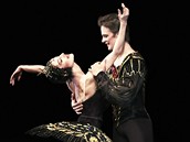 Z baletu Labutí jezero