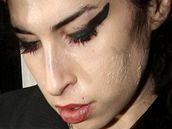 Léka u zpvaky Amy Winehouse diagnostikoval zánt zpsobený stafylokoky a streptokoky. (3.3.2008)