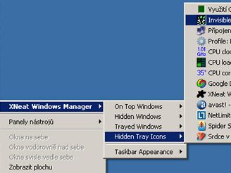 XNeat Windows Manager 