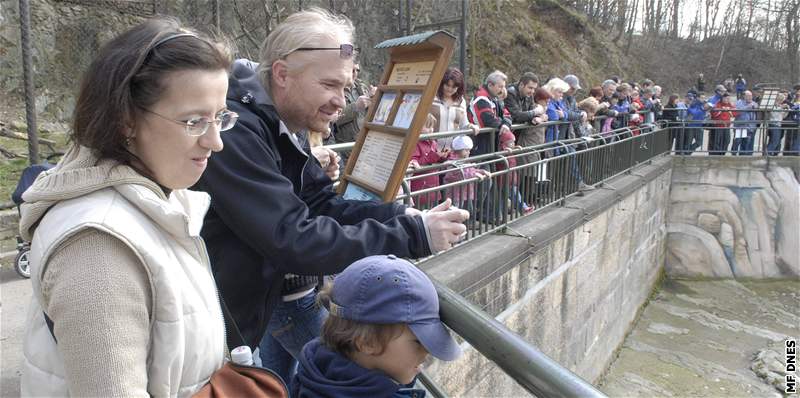 Medvíata pitáhla o víkendu do zoo plno lidí