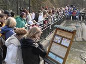 Medvíata pitáhla o víkendu do zoo plno lidí