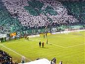 Panathinaikos Atny