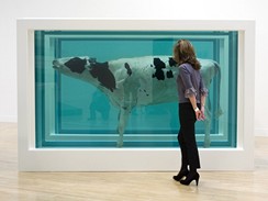 Damien Hirst - dlo Matka a dt, rozdlen