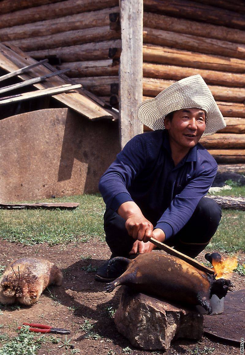 Mongolský koovník griluje svit letlampou a spálenou srst odírá klacíkem.