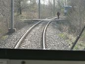 Podle Drání inspekce ml dopravní podnik ohlásit u dva pípady, kdy proti sob na jednokolejce vyrazily dv tramvaje v roce 2007.