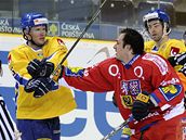 �esko - �védsko: Ale� Kotalík (vp�edu) a Nils Ekman (vlevo)