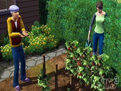 The Sims 3 (PC)