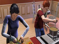 The Sims 3 (PC)