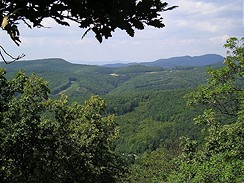 Slovensko. Dolina Vtoky v Povskm Inovci